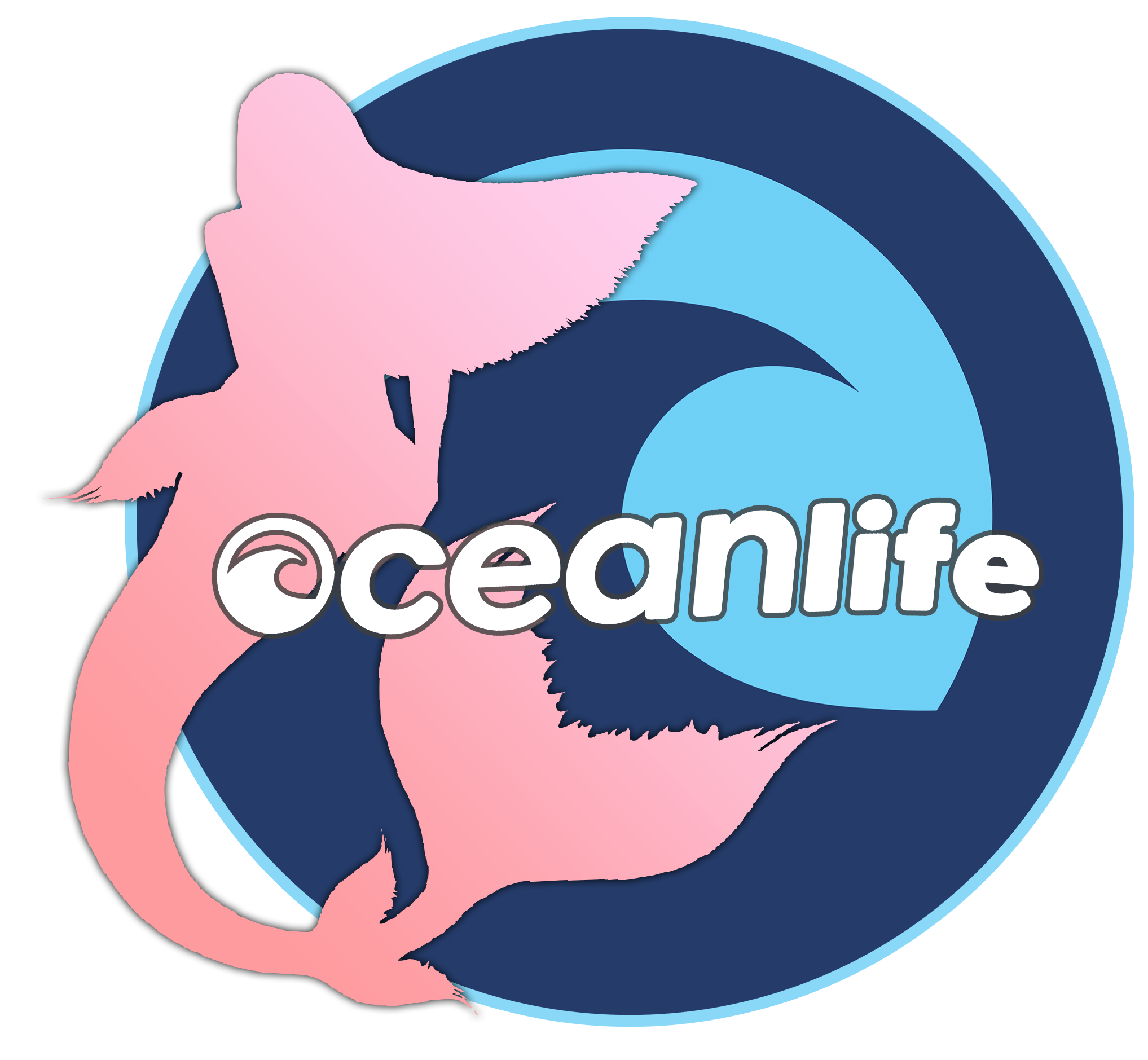 Collections – Ocean Life Store