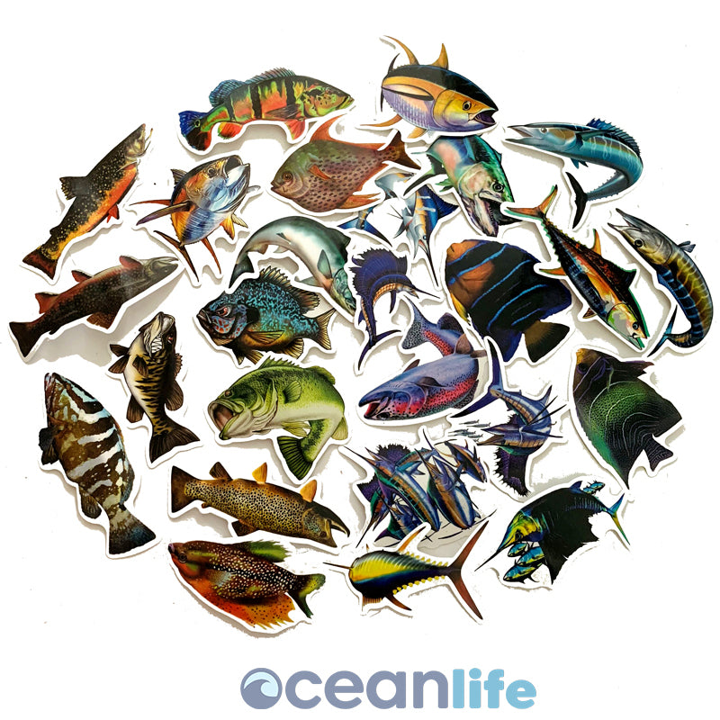 Ocean Life Fish Stickers - 50 Removable Stickers – Ocean Life Store