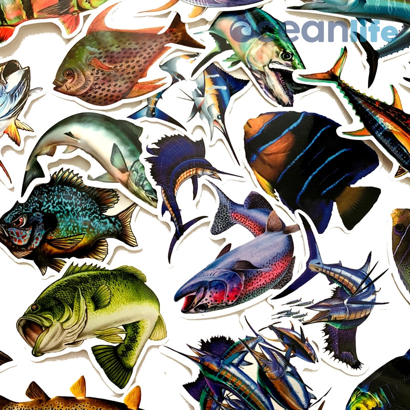 Fish Sticker Move Ocean Life Fish Stickers - 50 Removable Stickers – Ocean Life Store