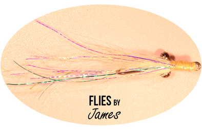 Clouser Minnow Fly by James