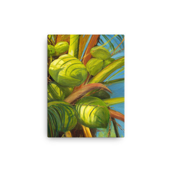 Green Coconuts Canvas