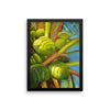 Green Coconuts Framed Print