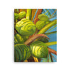 Green Coconuts Canvas